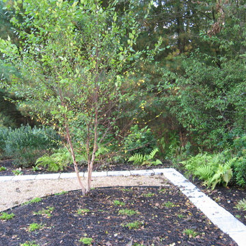 Meditative Japanese Garden