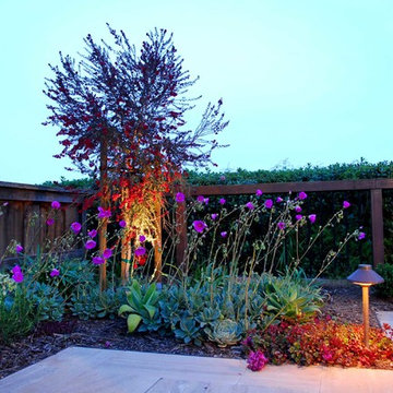Alameda East Shore Residence