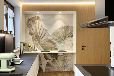 This is an example of a modern kitchen in Other.