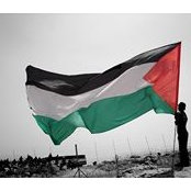 Domenico Marzo's photo