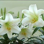 Karin Stever's photo