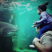 Grant Hewlett's photo