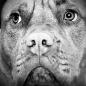 Karl Willars's photo