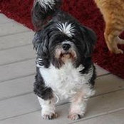 Francine Janson's photo
