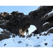 Brian Kohler's photo