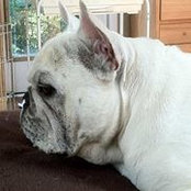 Terre Rigali's photo