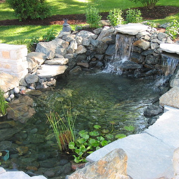 Pools, Spas and Ponds