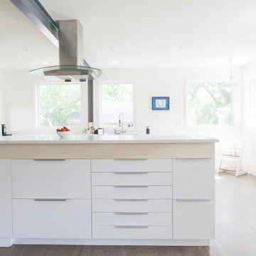 SW Minneapolis Modern Remodel/Addition