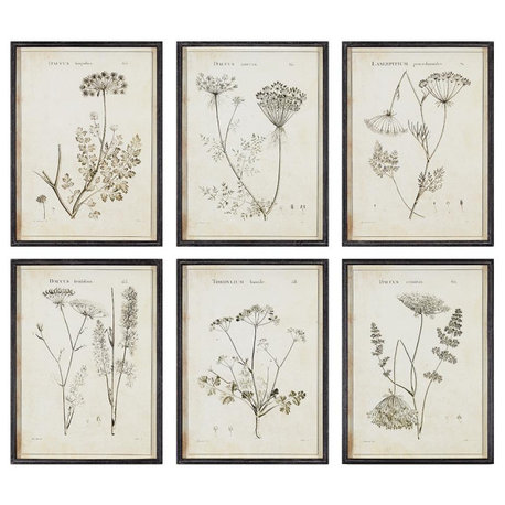 Set of 6 Black White Wild Flower Prints Vintage Style 24 in Wood Frame Gray