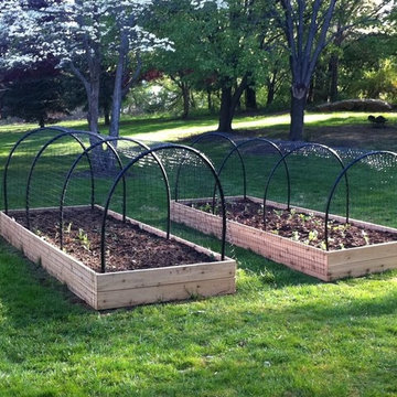 Vegetable Gardens