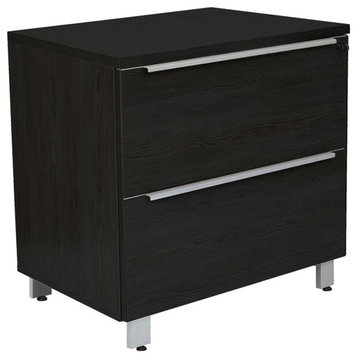 Wood Lateral File Cabinet with 2 Drawers in Espresso