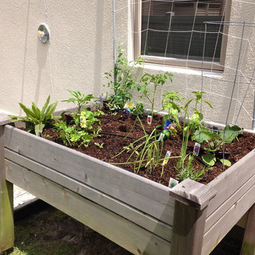 Vegetable & Herb Gardens