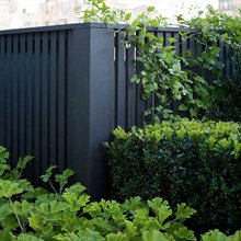 St Helena - Fence