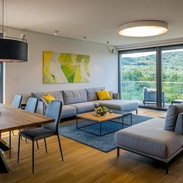 LARGE APARTMENT, VILLA VISTA, BRATISLAVA, SLOVAKIA