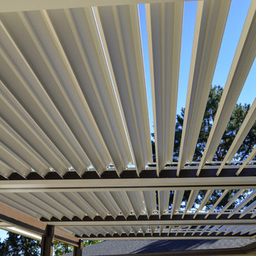 Opening Roof System