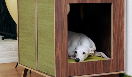 Doggie Door In Basement