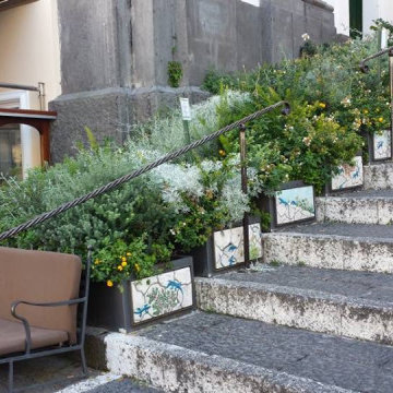 Edibles in the Landscape
