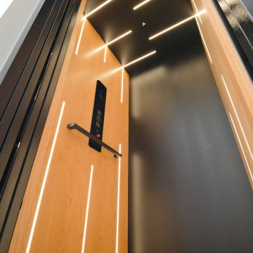 Asterix- Modern Residential Elevator