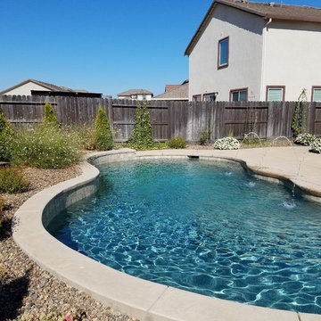Blank Canvas to Beautiful Backyard
