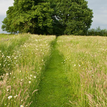 MOWN PATHS