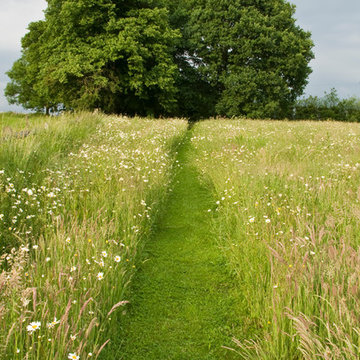 Willows and Water, Surrey