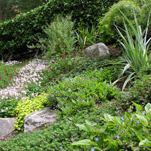 front yard