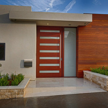 Pivot Doors
