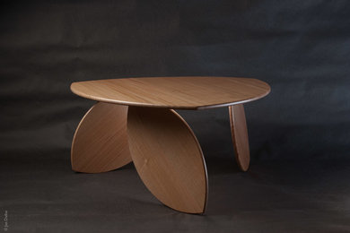 Leaning Leaf Coffee Table - Flat Pack