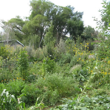 Edible Forest Garden
