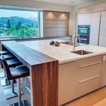 Marin Kitchen