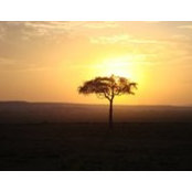 James Hansen's photo
