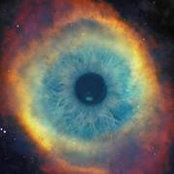 Mohamed RefaȜy's photo