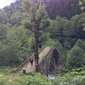 Ayse Akbas's photo