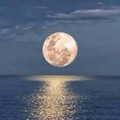 Ed Watko's photo