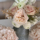 Adri Occhiuto's photo