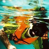 Boon Seaws foto