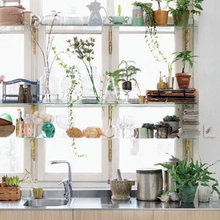 Kitchen Shelves
