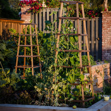 patio space