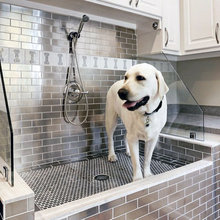 Dog Shower