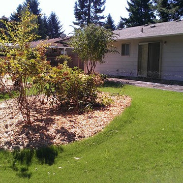 LANDSCAPE MAKEOVER: JUNGLE TO PARADISE