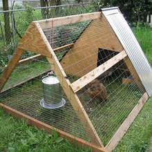 Chicken coop
