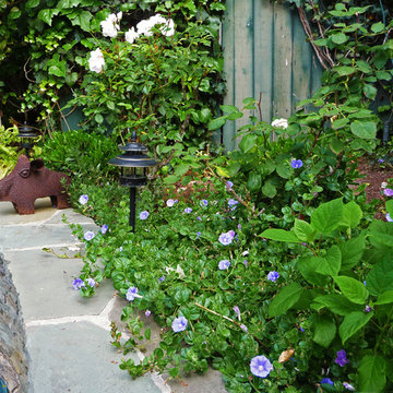 Aromatic Moon Garden