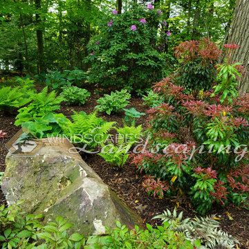 Residential Landscape