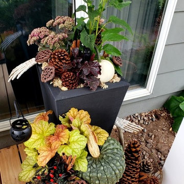 Fall/ Halloween Container Gardens