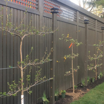 Savoring Scents and Flavors