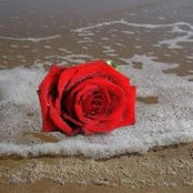 Foto de Amaria Ullah