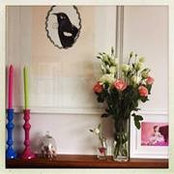 Mary-Ellen Morris's photo