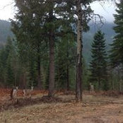 Jan Bartsch's photo