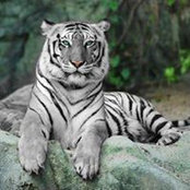 Amber Thompson's photo