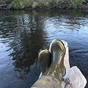 Marjorie Porter's photo